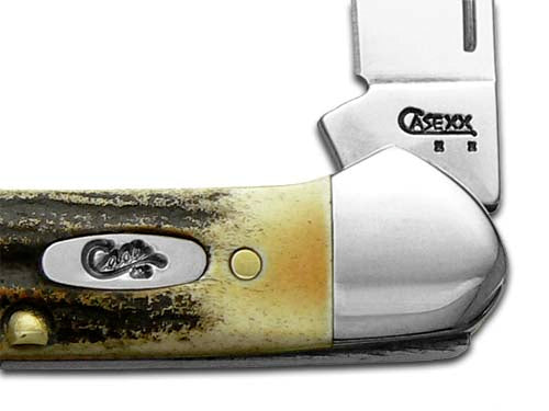 W.R. Case XX Knives Genuine Deer Stag Baby Butterbean Pocket Knife 05537