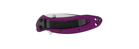 Kershaw Knives™ Scallion Liner Lock 1620PUR Purple Anodized Aluminum 420HC Stainless Steel Pocket Knife