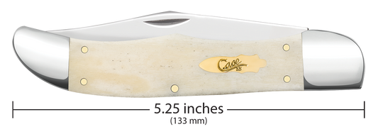 W.R. Case XX Knives Folding Hunter Smooth Natural Bone 11024 Stainless Pocket Knife
