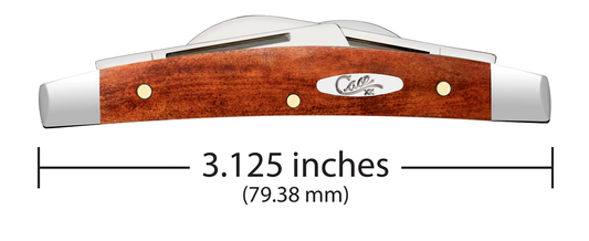 W.R. Case XX Knives Small Congress Smooth Chestnut Bone 28911 Stainless Pocket Knife