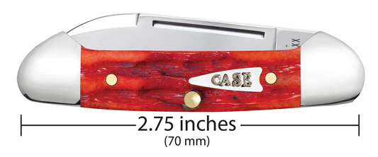 W.R. Case XX Knives Butterbean Indian Paint Brush Bone 42322 Stainless Pocket Knife