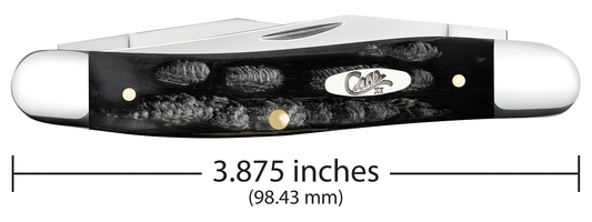 W.R. Case XX Knives Muskrat Jigged Buffalo Horn 65032 Stainless Pocket Knife