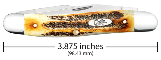 W.R. Case XX Knives Muskrat 6.5 BoneStag 65346 Stainless Pocket Knife