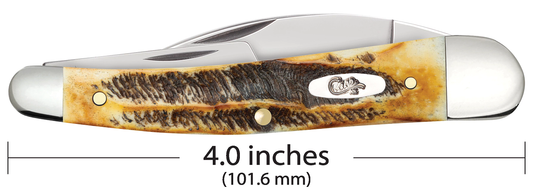 W.R. Case XX Knives Seahorse Whittler 6.5 BoneStag 65347 Stainless Pocket Knife