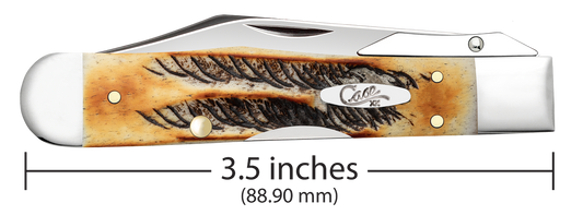 W.R. Case XX Knives Cheetah Cub 6.5 BoneStag 65349 Stainless Pocket Knife