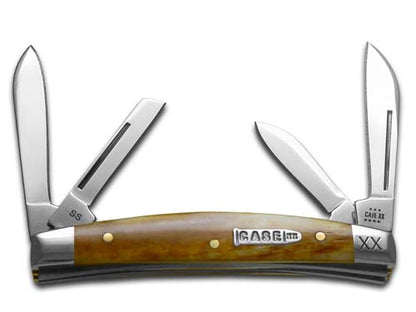 W.R. Case XX Knives Small Congress Antique Bone Stainless Steel 1/500 Pocket Knife 12534