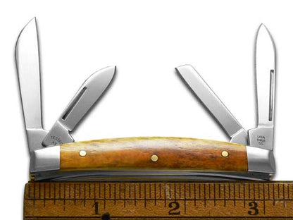 W.R. Case XX Knives Small Congress Antique Bone Stainless Steel 1/500 Pocket Knife 12534