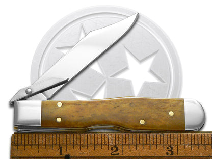 W.R. Case XX Knives Cheetah Cub Antique Bone 12497 Stainless Pocket Knife