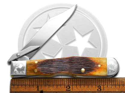 W.R. Case XX Knives Cheetah Cub Barnboard Antique Bone Scrolled 64263 Stainless Pocket Knife