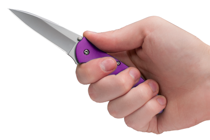 Kershaw Knives™ Leek Liner Lock 1660PUR Purple Anodized Aluminum Sandvik 14C28N Stainless Steel Pocket Knife