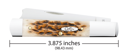 Case XX™ Knives Razor Jack Jigged Amber Bone 10722 Stainless Pocket Knife