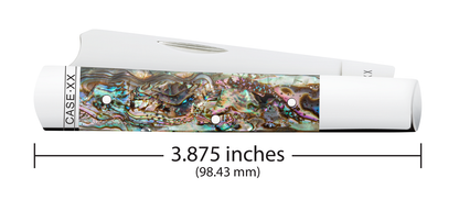 Case XX™ Knives Razor Jack Smooth Abalone 12027 Stainless Pocket Knife