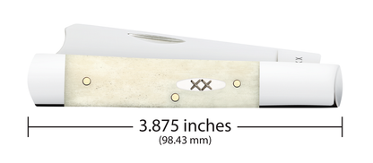 W.R. Case XX Knives Razor Jack Smooth Natural Bone 13316 Stainless Pocket Knife
