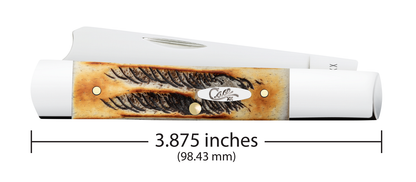 Case XX™ Knives Razor Jack Jigged 6.5 BoneStag 65338 Stainless Pocket Knife