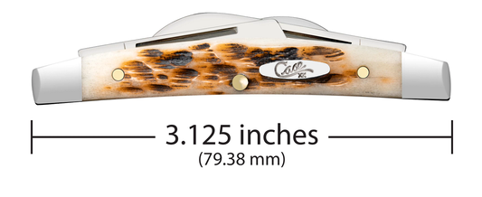 Case XX™ Knives Small Congress Jigged Amber Bone Stainless 10723 Pocket Knife