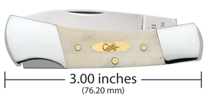 W.R. Case XX Knives Lockback Smooth Natural Bone 11026 Stainless Pocket Knife