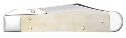 W.R. Case XX Knives Cheetah Cub Smooth Natural Bone 11027 Stainless Pocket Knife