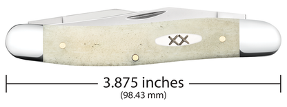 W.R. Case XX Knives Muskrat Smooth Natural Bone 13317 Stainless Pocket Knife
