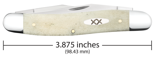 W.R. Case XX Knives Muskrat Smooth Natural Bone 13317 Stainless Pocket Knife