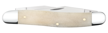 W.R. Case XX Knives Muskrat Smooth Natural Bone 14022 Stainless Pocket Knife