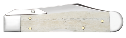 W.R. Case XX Knives Cheetah Cub Gator Jig Natural Bone 14026 Stainless Pocket Knife