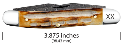 W.R. Case XX Knives Muskrat Jigged Burnt Natural Bone 27231 Damascus Pocket Knife