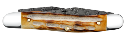 W.R. Case XX Knives Muskrat Jigged Burnt Natural Bone 27231 Damascus Pocket Knife