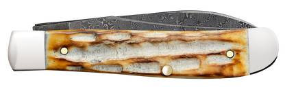 W.R. Case XX Knives Mini Trapper Burnt Natural Bone 27233 Damascus Pocket Knife