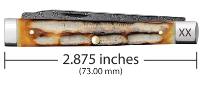 W.R. Case XX Knives Baby Doc Burnt Natural Bone 27234 Damascus Pocket Knife