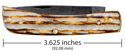 W.R. Case XX Knives Sodbuster Jr Burnt Natural Bone 27235 Damascus Pocket Knife