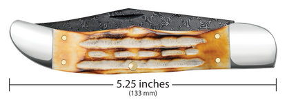 W.R. Case XX Knives Folding Hunter Burnt Natural Bone 27237 Damascus Pocket Knife