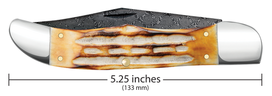 W.R. Case XX Knives Folding Hunter Burnt Natural Bone 27237 Damascus Pocket Knife