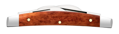 Case XX™ Knives Small Congress Smooth Chestnut Bone 28911 Stainless Pocket Knife