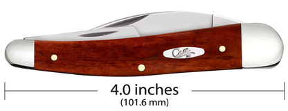 W.R. Case XX Knives Seahorse Whittler Chestnut Bone 28913 Stainless Pocket Knife
