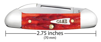 W.R. Case XX Knives Butterbean Indian Paint Brush Bone 42322 Stainless Pocket Knife