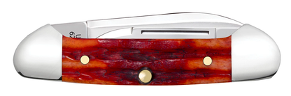 W.R. Case XX Knives Butterbean Indian Paint Brush Bone 42322 Stainless Pocket Knife