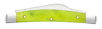 Case XX™ Knives Small Congress Green Apple Bone 53032 Stainless Pocket Knife