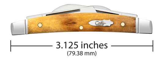 W.R. Case XX Knives Small Congress Smooth Antique Bone 58209 Stainless Pocket Knife