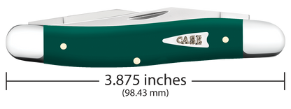 W.R. Case XX Knives Muskrat Spruce Green Synthetic 64533 Stainless Pocket Knife