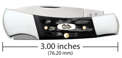 W.R. Case XX Knives Lockback Jigged Buffalo Horn 65031 Stainless Pocket Knife