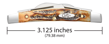 Case XX™ Knives Small Congress 6.5 BoneStag 65337 Stainless Pocket Knife