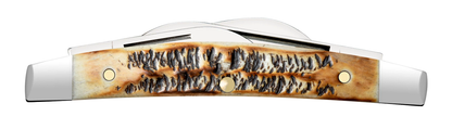 Case XX™ Knives Small Congress 6.5 BoneStag 65337 Stainless Pocket Knife