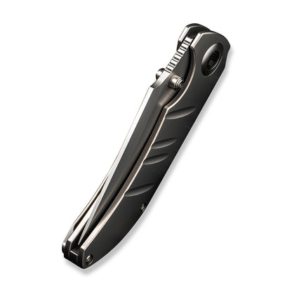 WE Knife Co., Ltd™ Riff-Raff Frame Lock 22020B-4 Bead Blasted 6AL4V Titanium CPM-20CV Stainless Steel Pocket Knife