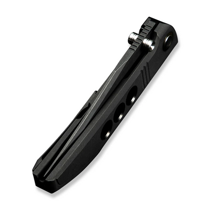 WE Knife Co., Ltd™ Ezinta Frame Lock WE22041-1 Black 6AL4V Titanium M390 Stainless Steel Pocket Knife