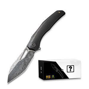 WE Knife Co., Ltd™ Ignio Frame Lock WE22042B-DS1 MB Black Anodized 6AL4V Titanium Damasteel Pocket Knife