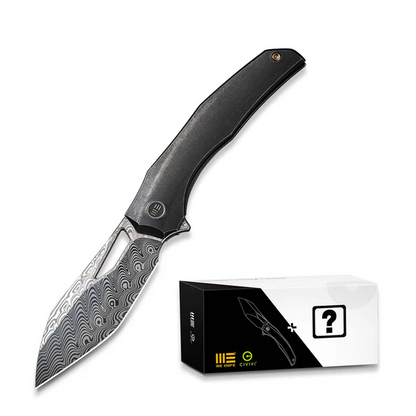 WE Knife Co., Ltd™ Ignio Frame Lock WE22042B-DS1 MB Black Anodized 6AL4V Titanium Damasteel Pocket Knife