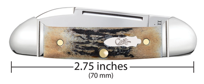 W.R. Case XX Knives Butterbean Fluted Burnt Stag 10758 Stainless Pocket Knife