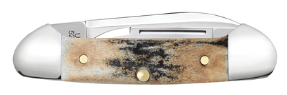 W.R. Case XX Knives Butterbean Fluted Burnt Stag 10758 Stainless Pocket Knife