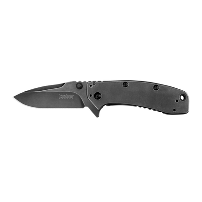 Kershaw Knives™ Cryo 2 Frame Lock 1556BW Black Stainless Steel 8Cr13MoV Stainless Steel Pocket Knife