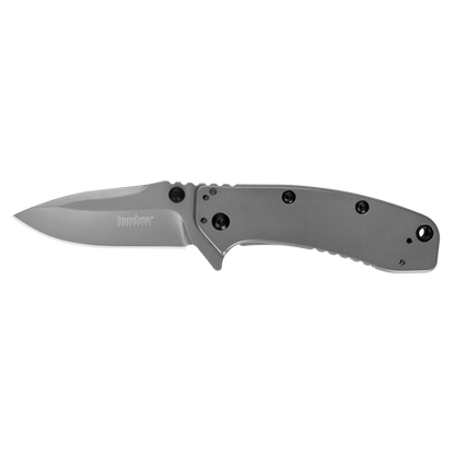 Kershaw Knives™ Cryo 2 Frame Lock 1556TI Stainless Steel 8Cr13MoV Stainless Steel Pocket Knife